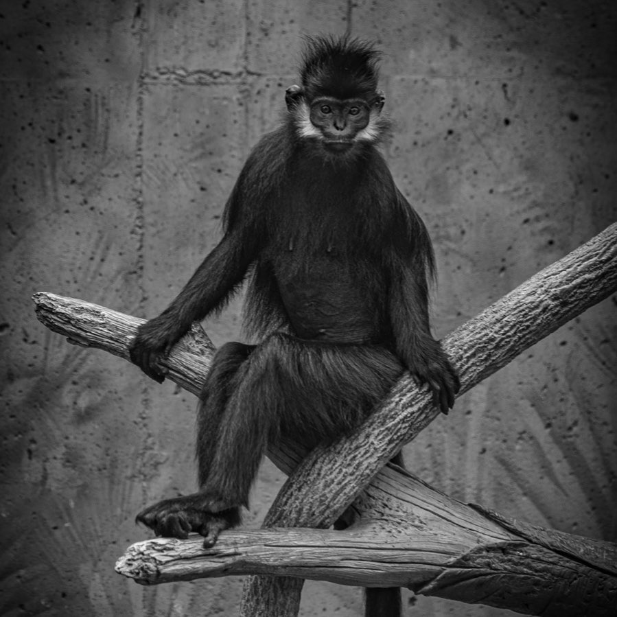 ONE OF US (2021) - Thomàz Mazzei.jpg